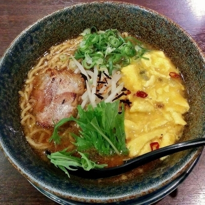 「元気のでるみそラーメン 中」@ラーメン札幌一粒庵の写真