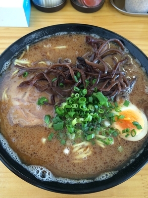 「魚粉豚骨ラーメン 中太麺」@豚骨ラーメン 新井商店の写真