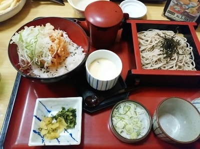 「桜えびかき揚げ丼セット1,436円」@和食麺処 サガミ 八潮店の写真