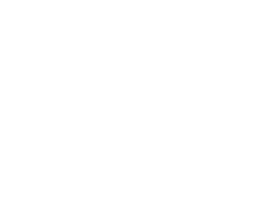 「辛味鶏白湯」@地鶏白湯専門 麺屋とりこの写真