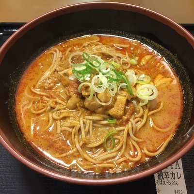 「【店舗限定】パキスタン風激辛カレーそば（￥490）」@名代 富士そば 蒲田店の写真