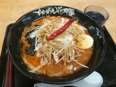 「嵐げんこつバリ辛らぁめん」@らあめん花月嵐 高坂サービスエリア店の写真