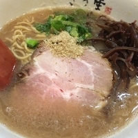 限定 ネクストステージどとんこつラーメン