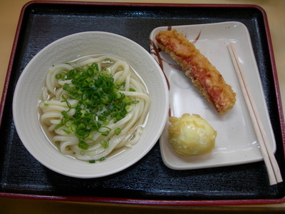 「かけうどん」@たも屋 本店の写真