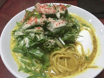 「【限定】シャキシャキ水菜のカリーヌードル800円」@麺屋 むじゃきの写真