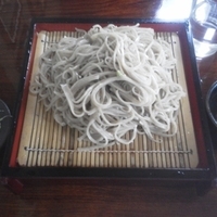 もりそば　大盛　550