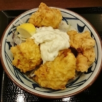 タル鶏天ぶっかけうどん（冷） 590円