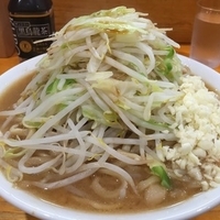 大ラーメン麺増し500ニンニクダブルカラメ
