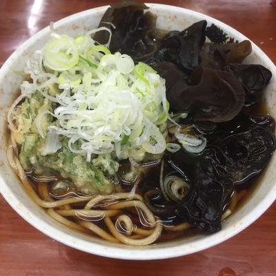 「そば（￥260）＋しゅん菊（￥100）＋木クラゲ（￥100）」@二葉の写真