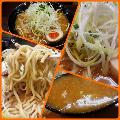 「【期間限定】味噌ラーメン（硬め）」@秋津商店の写真