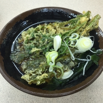 「かけ（￥260）＋春菊天（￥100）」@肥後一文字やの写真