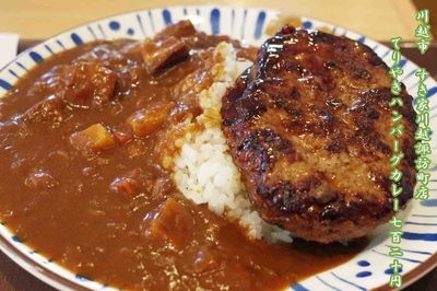 「ハンバーグカレー並」@すき家 諏訪町店の写真