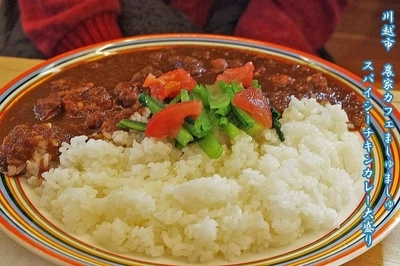 「スパイシーチキンカレー800円」@農家カフェ ましゅましゅの写真