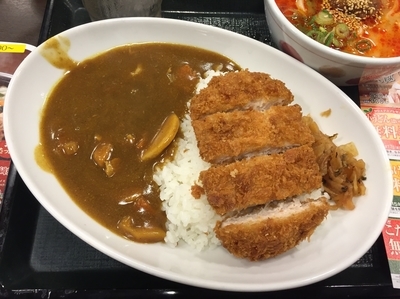 「和風カツカレー 並」@なか卯 大井町西口店の写真
