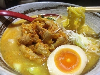 「ホルモンラーメン(820円)」@麺屋 こやすの写真