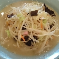 ちゃんぽん麺・ベーシック