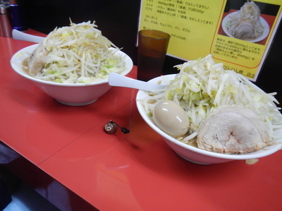 「味噌ラーメン並+ヤサイちょい増し+アブラ+味玉」@びんびん豚の写真