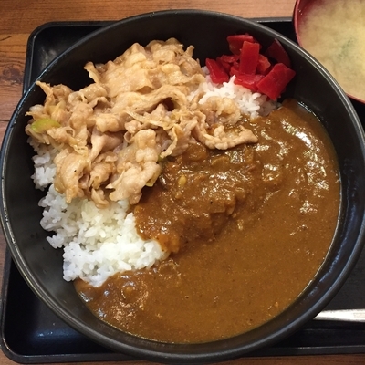 「すたみなカレー（味噌汁付き）」@伝説のすた丼屋 蒲田店の写真