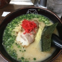 博多ラーメン500円粉落とし替え玉100円粉落とし