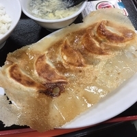 羽根つき焼き餃子（5コ）