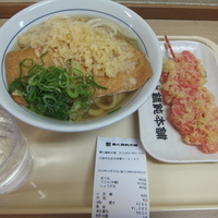 きつねうどん並350円(半額デー175円)＆紅生姜天90円