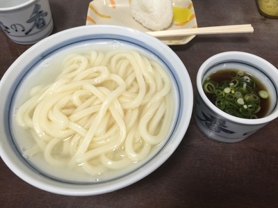 「釜揚げ大」@釜あげうどん 長田in香の香の写真