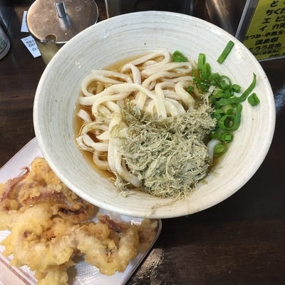 「ひやかけ「並盛」＋げそ天＋とろろ昆布」@おにやんま 東品川店の写真