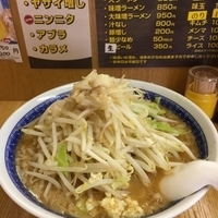 味噌ラーメン 麺少なめ