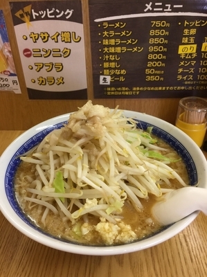 「味噌ラーメン 麺少なめ」@ラーメン アカリケンの写真