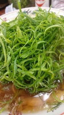 「特製醤油 九条ネギラーメン800円」@ラーメン魁力屋 五反田店の写真