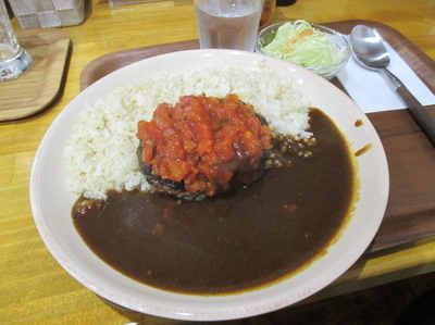 「ハンバーグカレー」@田中カレーの写真