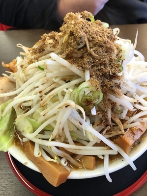 「元節ラーメン野菜メンマ」@麺屋 元の写真