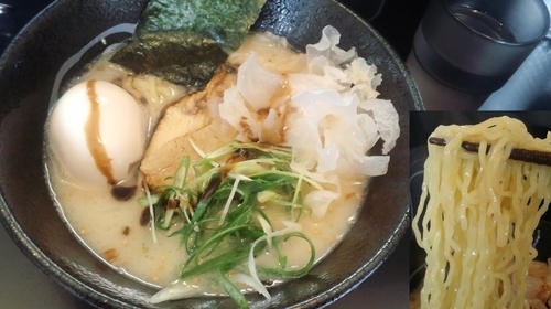 「濱白湯塩_味たまご800円_クーポンで中盛」@らーめん白虎の写真