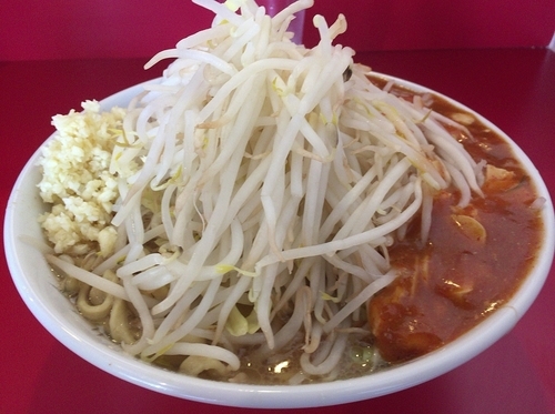 「フュージョンヤサイニンニク（８００円）」@蒙麺 火の豚の写真