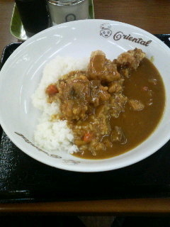 「オリエンタルカレー」@オリエンタルカレー＆焼きスパ 養老SA下り店の写真