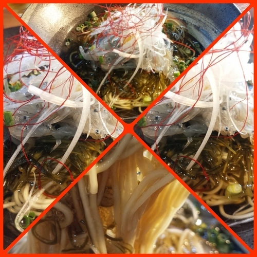 「【限定】生しらすの冷製そば」@寿製麺よしかわ 川越店の写真