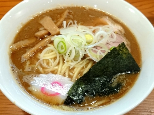 「【限定】魚介豚骨ラーメン 800円」@麺 一直の写真