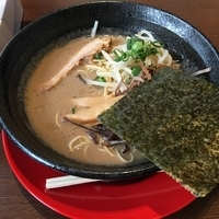 豚骨らあめん＋高菜明太丼 1,000円