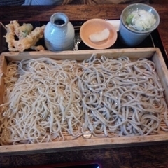 蔵舞たぬきの画像