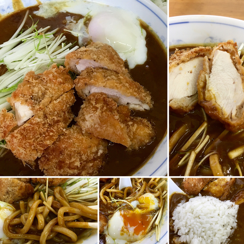 「【気まぐれ】カレーぶっかけ1,000円+若鶏の胸カツ400円」@MENYA 食い味の道有楽の写真