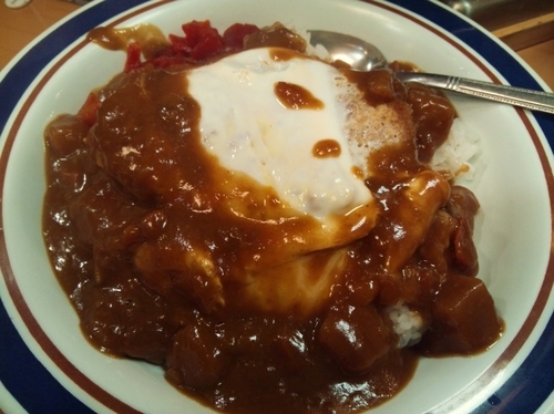 「カレーかつ丼」@名代 富士そば 秋葉原店の写真