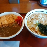 かつカレー丼セット790円