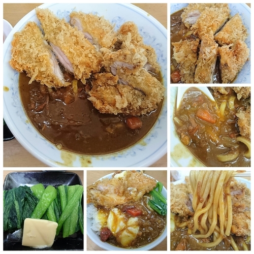 「【弥生の一杯】カレーのぶっかけ C（極チキンカツ）＋α」@MENYA 食い味の道有楽の写真