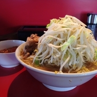 フュージョン大盛り ヤサイアブラカラメ