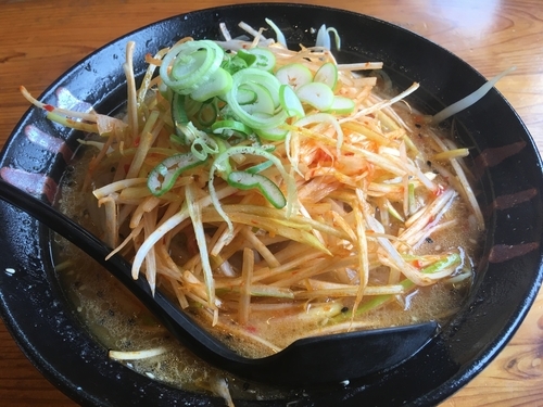 「ネギ味噌ラーメン」@らーめん いやどうもの写真