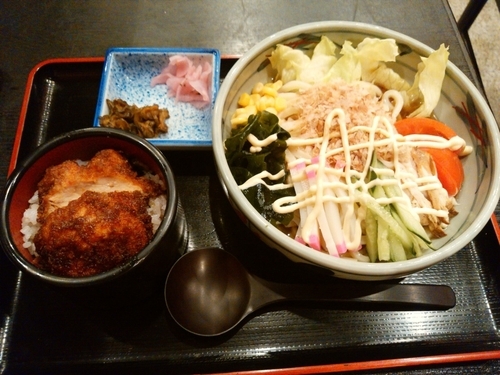 「サラダうどんセット(ミニソースかつ)950円」@登利平 高崎モントレー店の写真