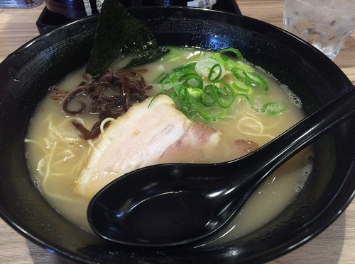 「白うまラーメンバリカタ（５００円 開店サービス価格）」@博多ラーメン 極麺うまかの写真