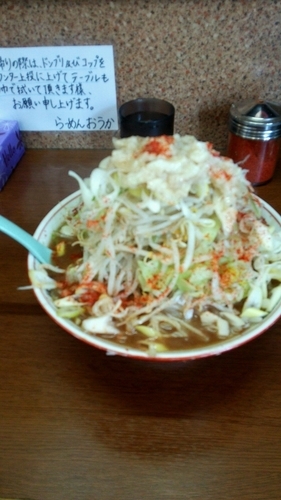 「らーめん300g(豚2枚)」@らーめん おうか 松戸松飛台店の写真