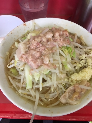 「ラーメン、麺少なめ、ニンニク、ヤサイ、アブラ、生卵」@ラーメン二郎 桜台駅前店の写真