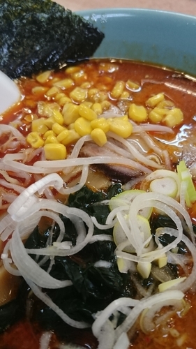 「からし麺７７０円」@ラーメン菱和 上大岡店の写真
